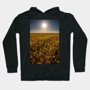 Wheat field at sunset, sun in the frame Hoodie